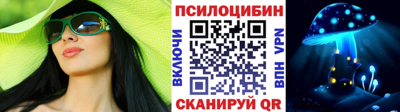 Купить закладки  Кировск  Псилоцибиновые грибы Magic Shrooms 